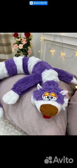 Кот беларусь