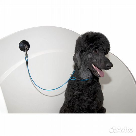 Петля Groom-X для удержания собаки с присоской