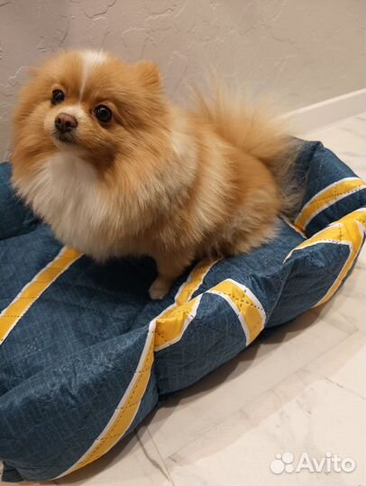 Лежанка для животных