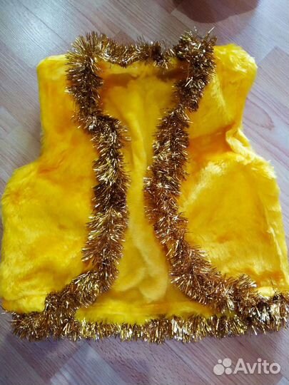 Новогодний костюм (лев и мухомор)