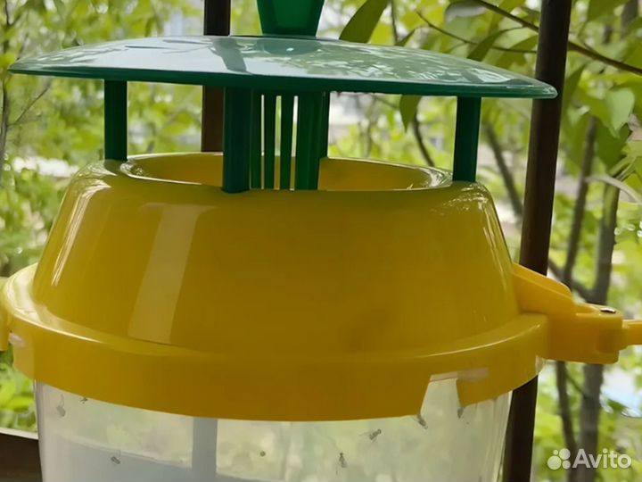 Феромонная ловушка