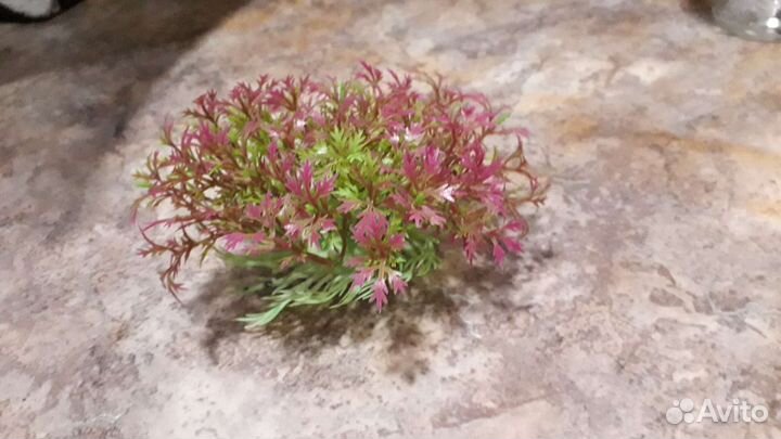 Горшок керамический, стаканы