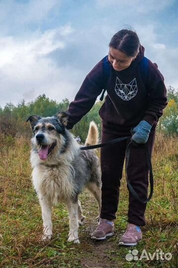 Бородатик Батон в дар