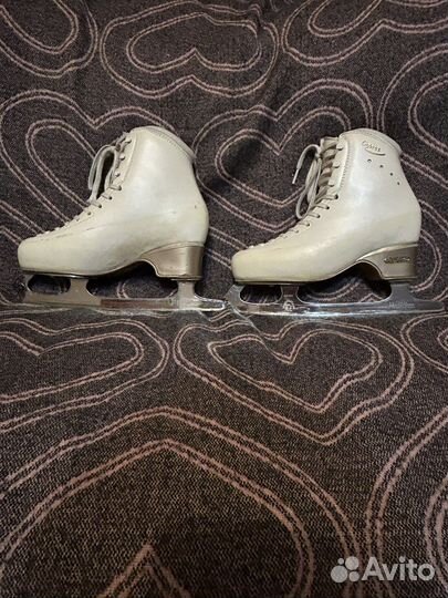Фигурные коньки edea chorus 240