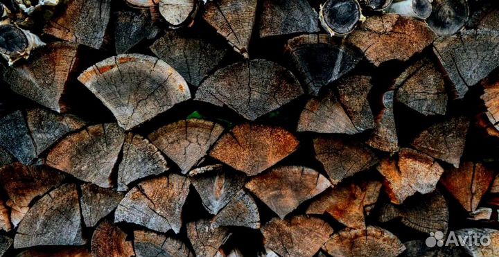 Дрова в область