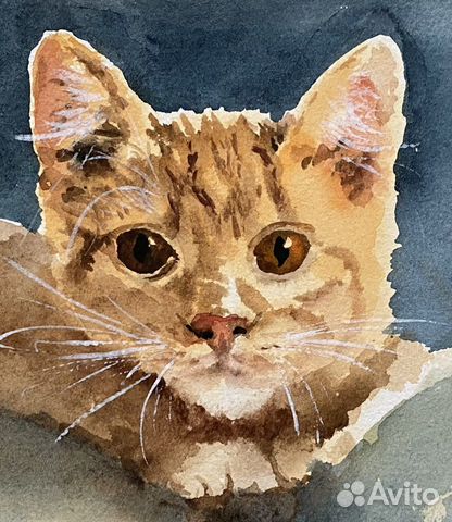 Картины акварель, кот, котенок объявление продам