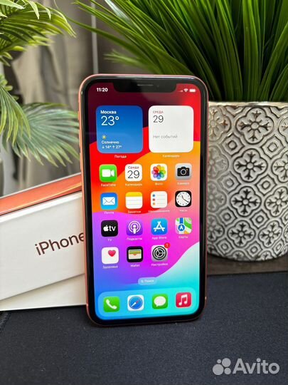 iPhone Xr, 128 ГБ