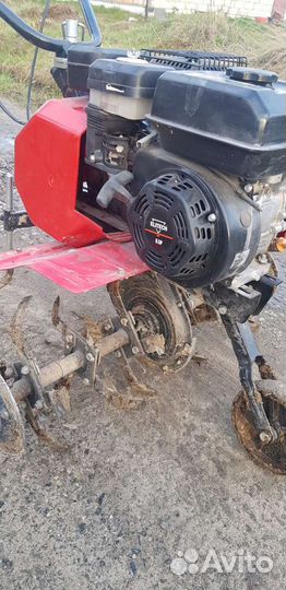 Аренда культиватора