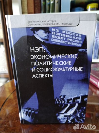 А. Сенявский, Аспекты нэпа
