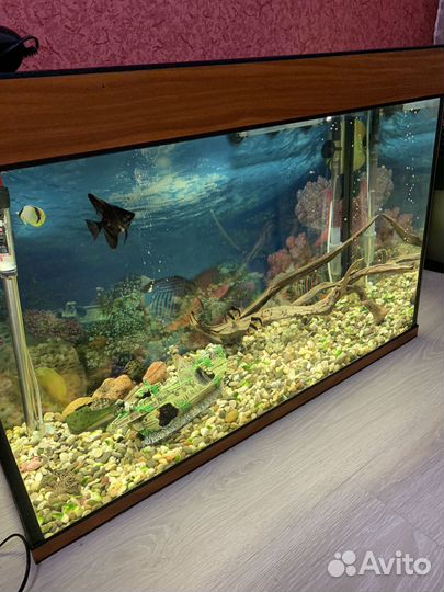 Аквариум