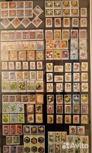 Стенд. Почтовые марки. Флора