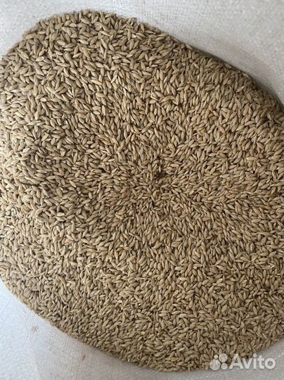 Комбикорм Для Птицы