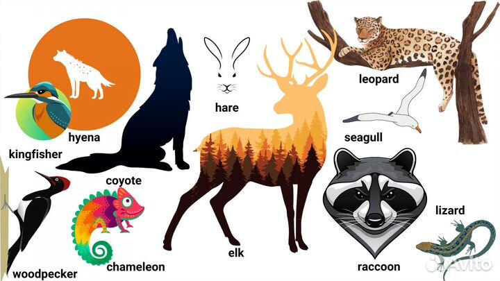 Репетитор по английскому языку онлайн