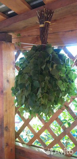 Веники для бани