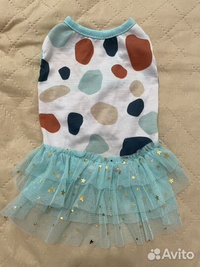 Платье и майки для маленькой собачки