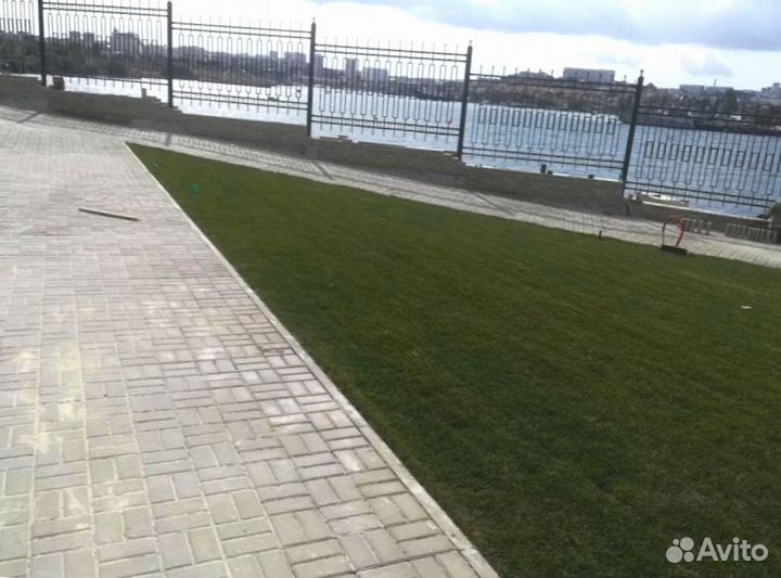 Рулонный газон 