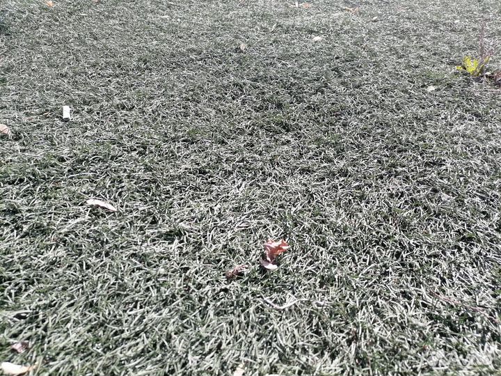 Искусственная трава Б/У