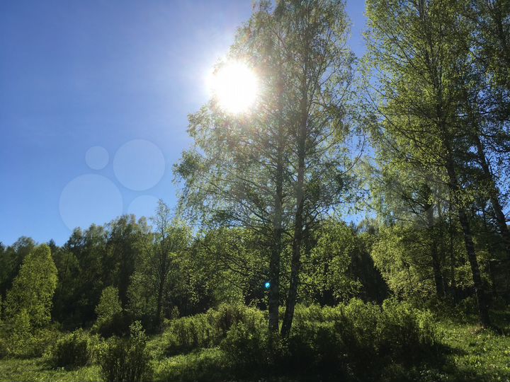 Участок 12 га (СНТ, ДНП)