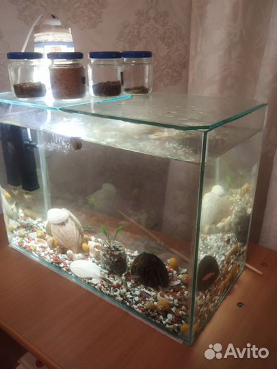 Аквариум,фильтр