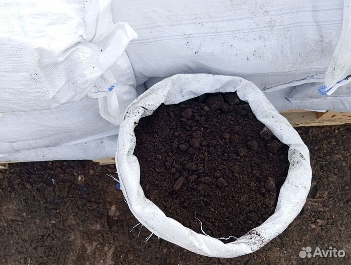 Грунт для рассады