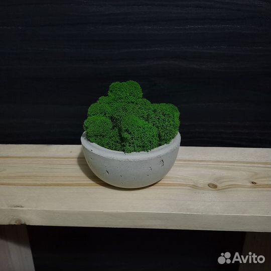 Вазоны для цветов