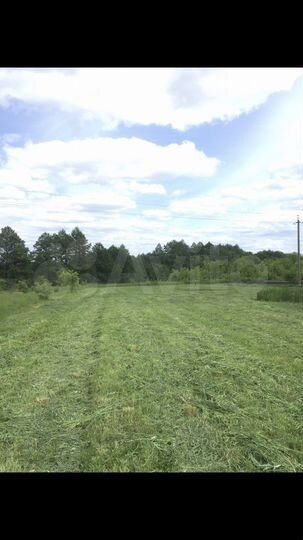 Участок 40 сот. (СНТ, ДНП)