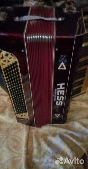 Концертный Акардион hess