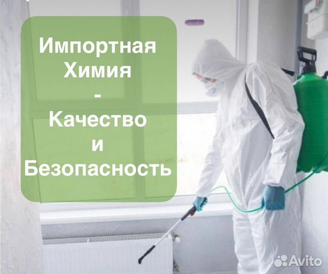 Дезинфекция, уничтожение тараканов, клопов, крыс