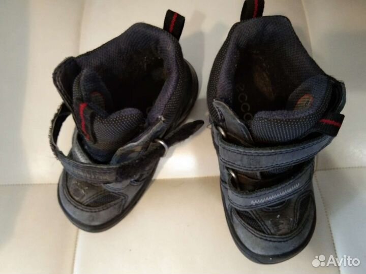 Детская обувь пакетом ecco,adidas 24