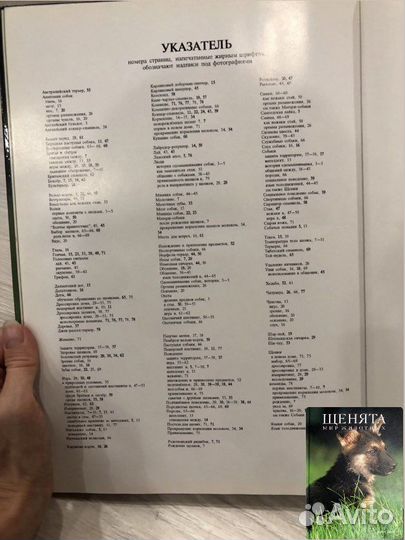 Книга альбом