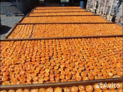 Абрикос сушенный