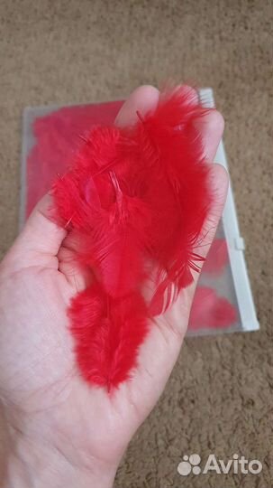 Перья для творчества