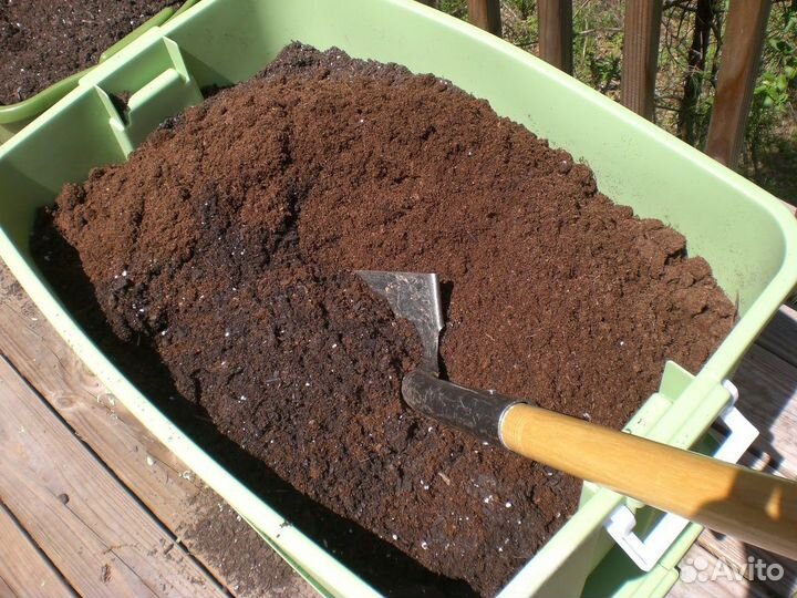 Грунт для голубики и хвойных растений