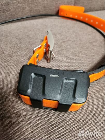 Ошейник Garmin DC50 рус. лай