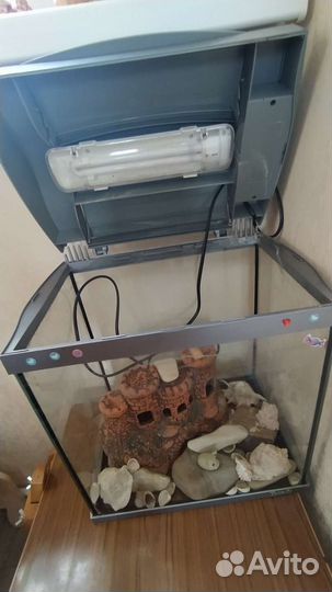 Аквариум бу