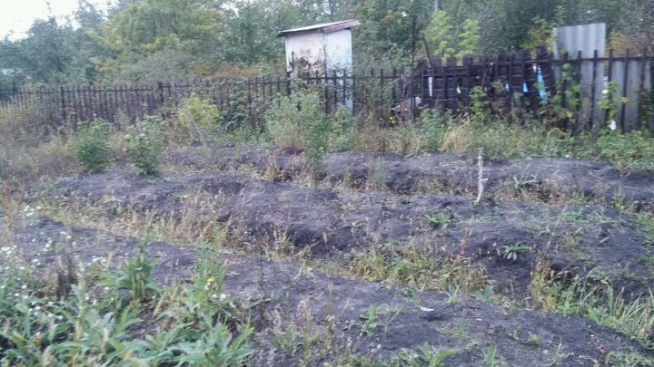 Участок 12 сот. (СНТ, ДНП)