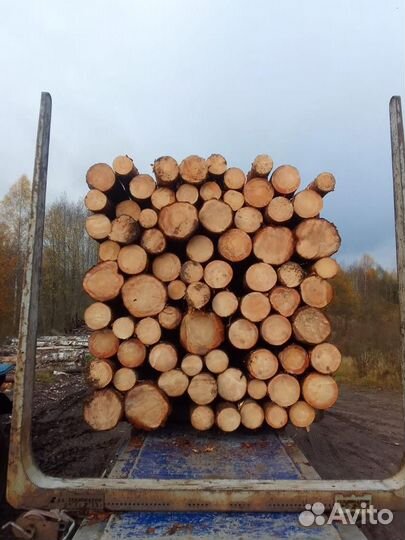 Лес кругляк строевой