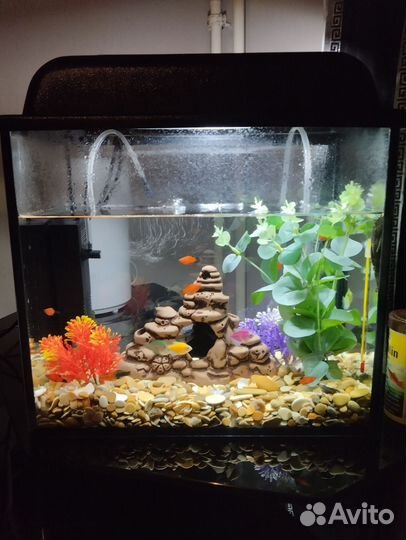 Аквариум