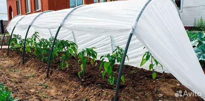 Парник бу 8м