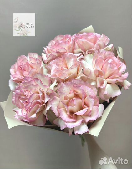 101 роза Цветы