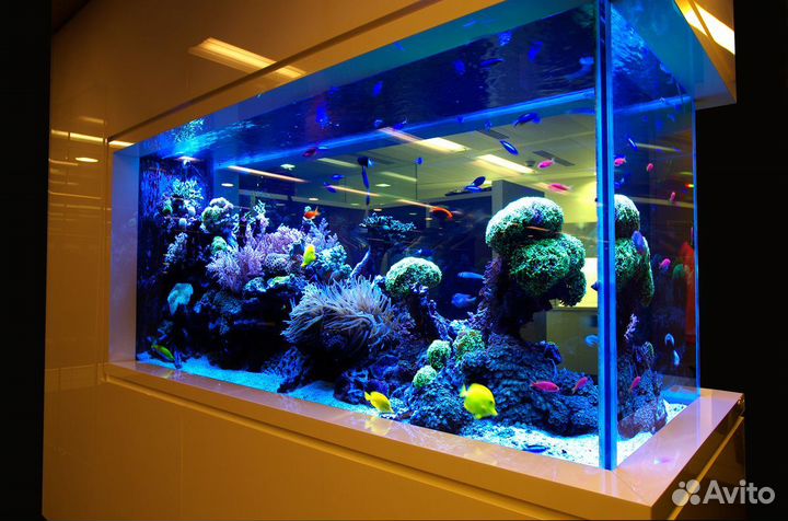 Чистка аквариума