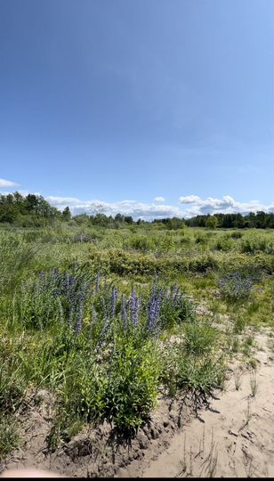 Участок 6 сот. (ИЖС)