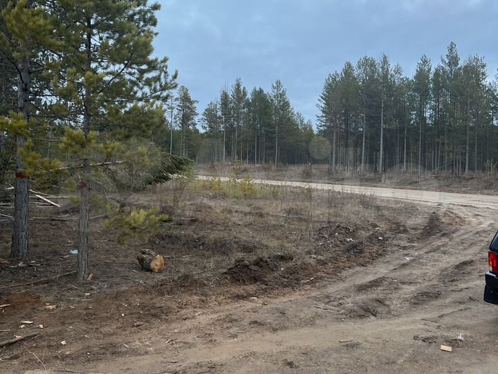 Участок 6 га (промназначения)