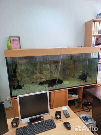 Аквариум на 1000 литров
