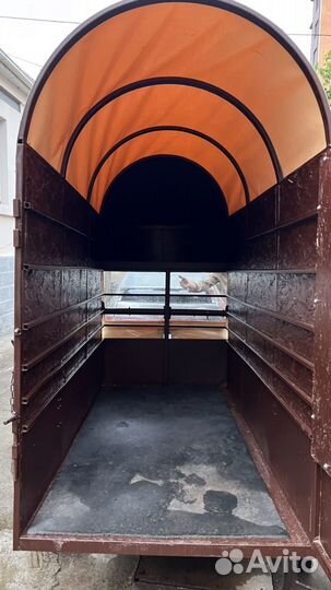 Перевозка лошадей, крс, мрс