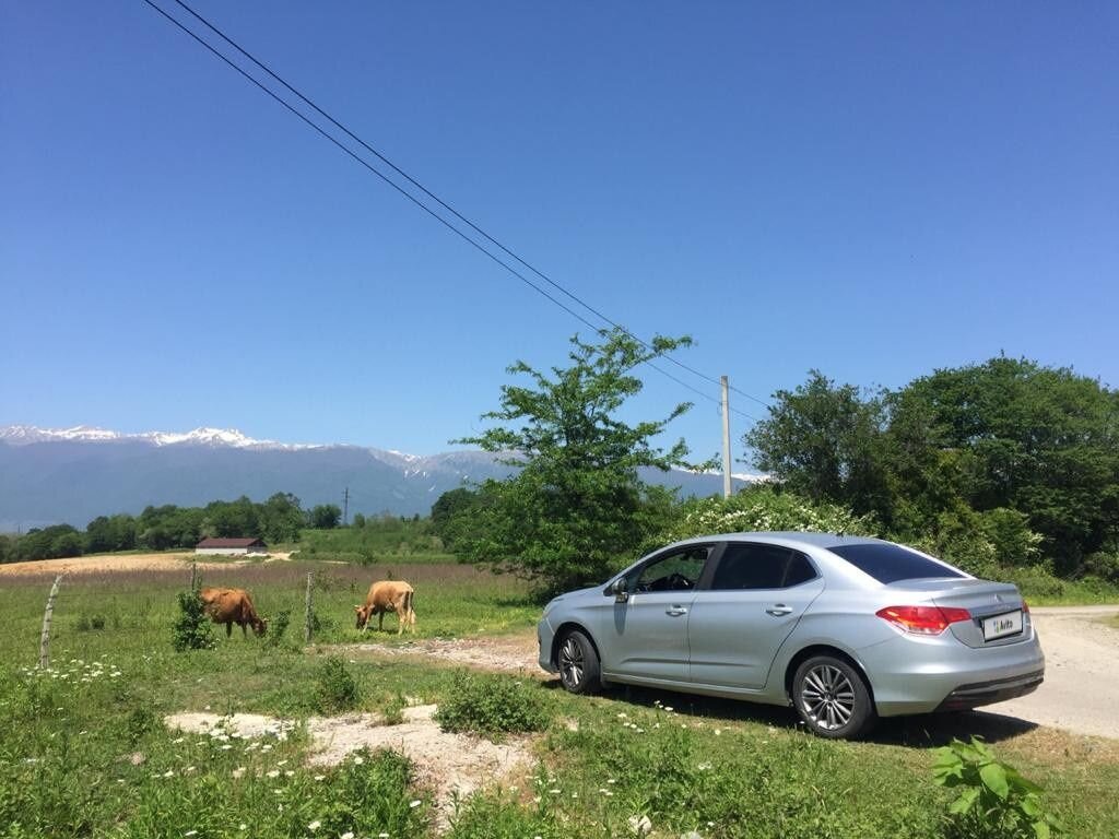 Citroen C4: фото владельца