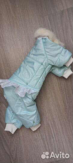 Одежда для маленьких собак