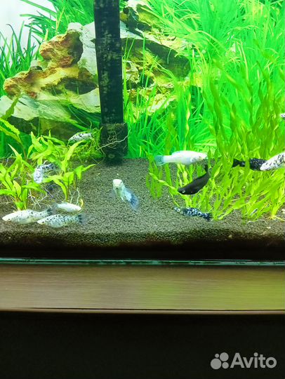 Украшение для аквариума