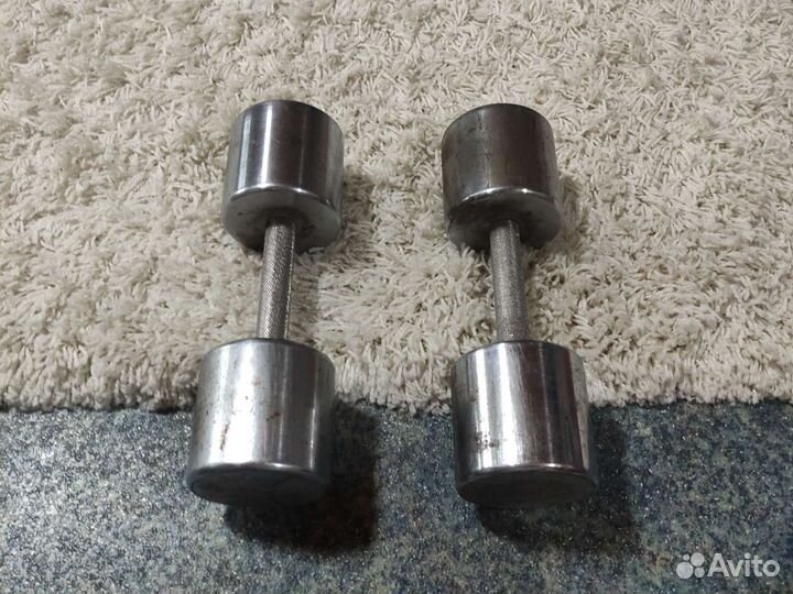 Гантели разборные по 10 кг