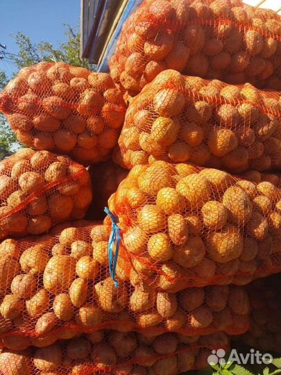 Продам картофель домашний